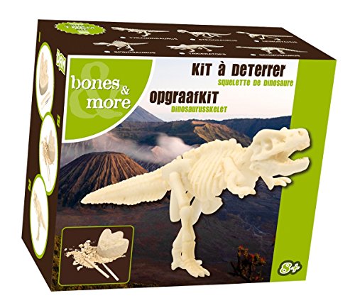 Dam SPRL Juego Educativo Esqueleto de Dinosaurio – Devenez paléontologue – grattez, fouillez, creusez, découvrez.