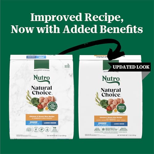 Image of Nutro Natural Choice Large Breed Puppy Dry Dog Food, Chicken, 13 lb