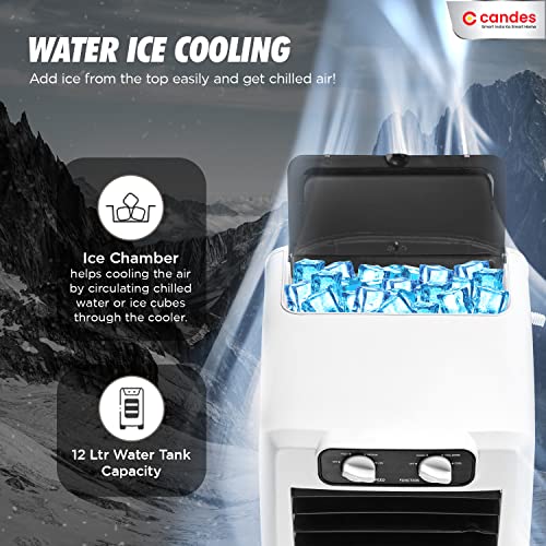 Candes Store Candes 12L Portable Mini Air Cooler - Image 5