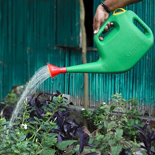 Klassic Watering Can (5L) | Plastic Green Water Can with Sprayer for Plants/Garden | Indoor Outdoor Watering Shower Can | Sprinkler for Plants | Watering Hand Bottles for Garden | Water Spray Can (Image - 4)