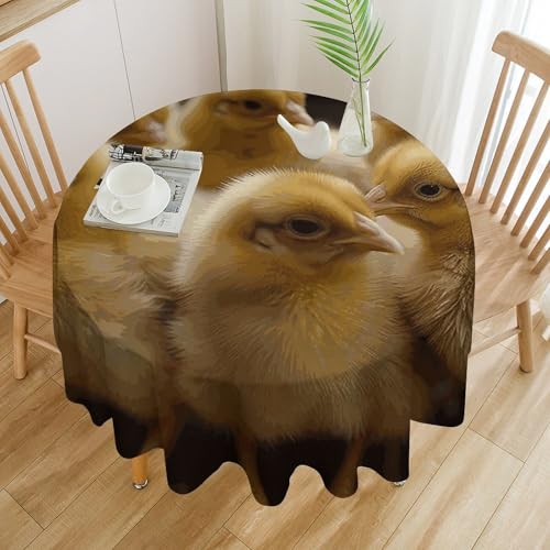 Little Chickens – Nappe ronde imperméable, infroissable, lavable, 91,4 x 91,4 cm, pour intérieur et extérieur, cuisine, salle à manger, vacances, décoration de vacances, 152,4 cm