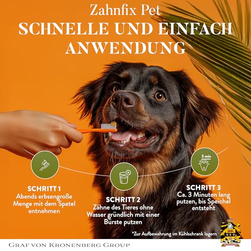 Pet ZahnFix Revital Liposomal Zahnpasta für Hunde und Katzen – 40ml natürliches Zahngel gegen Zahnstein & Zahnfleischentzündung – enzymatische Hundezahnpasta ohne Xylit mit Kurkuma, Kokosöl