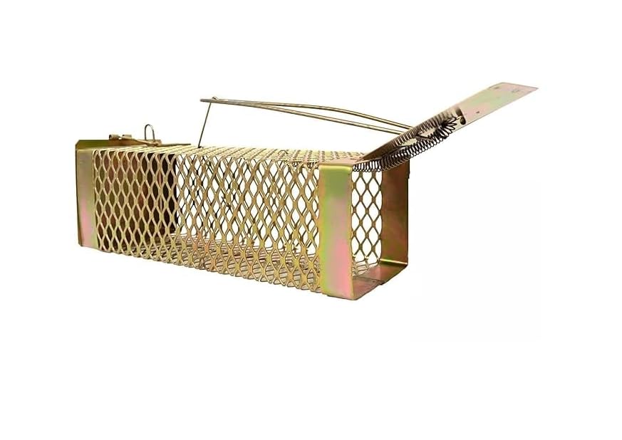 Shanaya Trade Folks Rat/Mouse/Rodent Small Trap Cage Rustic Copper Metal Rat Cage Trap for Small, Medium & Large Rats, Spring-Loaded Door, 22x7.5x7.5 cm-image-48