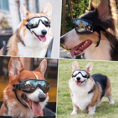 Hund Sonnenbrille Medium bis Large Hund | UV transparente Hundebrille mit verstellbarem Riemen | Winddichte Anti-Staub Schneefeste Haustier Gläser | Augenbekleidung Schutz für Reisen Skifahren