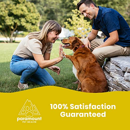 100-Natural-Dog-Vitamins-and-Supplements-Liquid-Multivitamin-for-Dogs-Senior-Dog-Vitamins-Vitamins-for-Dogs-with-Probiotics-Usa-Made-Vitamin-for-Dogs-Pet-Vitamins-for-Dogs-Dog-Supplements