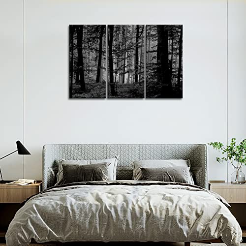 So Crazy Art- Black And White Wall Art Decor Lush Wood Forest Canvas Pictures Artwork 3 Panel Nature Landscape Painting Prints For Home Living Dining Room Kitchen #TOP5