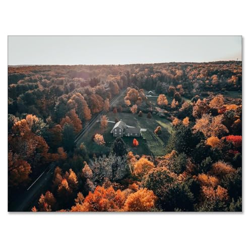 Forêt d'automne impression toile nature pour créer un salon chaleureux