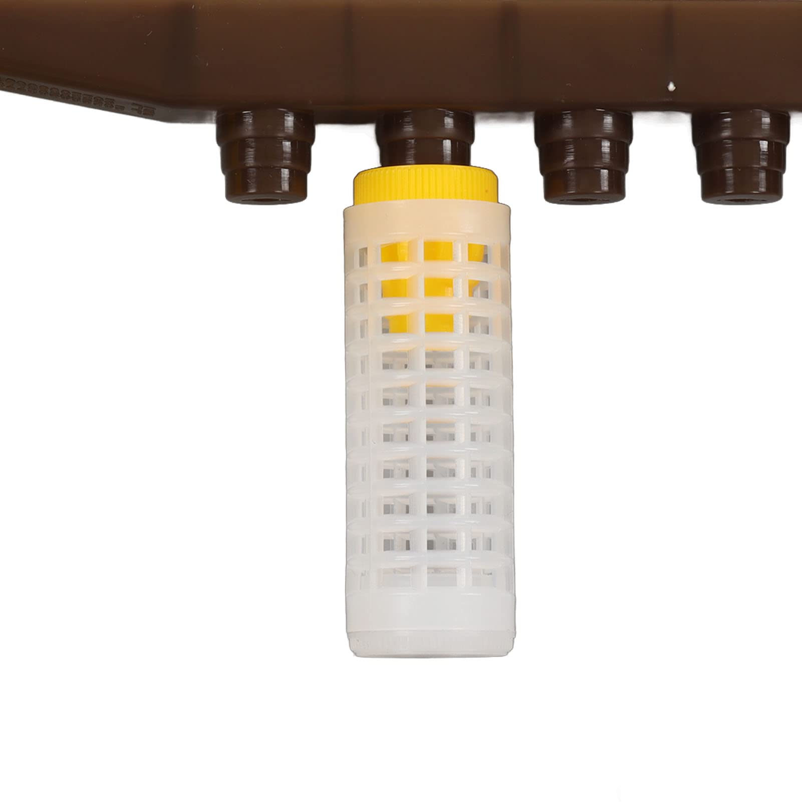 Fdit Kit de Cría de Abejas Reina de Plástico, Kit de Cría de Abejas Apicultor Reina, Sistema de Apicultura, Juego de Herramientas para Apicultores