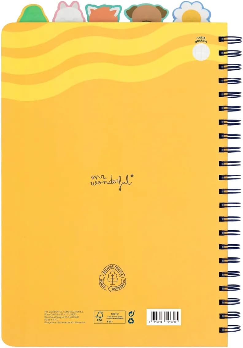 Mr. Wonderful - A4 Notebook with Tab Dividers - Big Goals, Big Projects