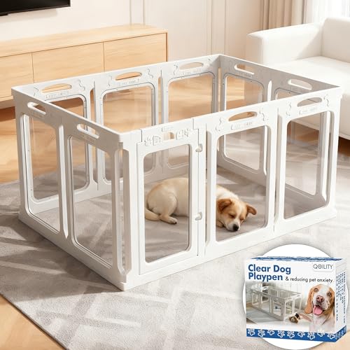 Qoility ANpxr[T[N hAt q&^p pl10 24C` zCg