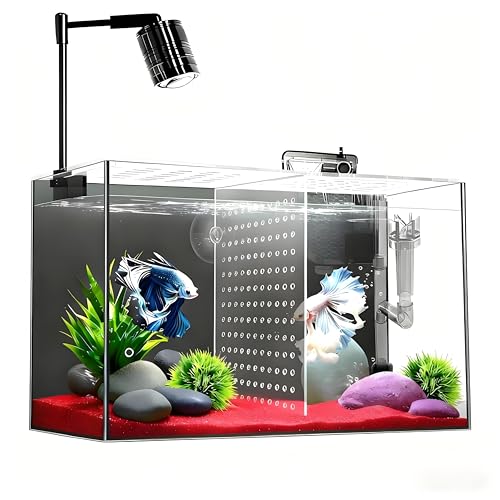 iPriro 3 Gallon Glass Betta Tank