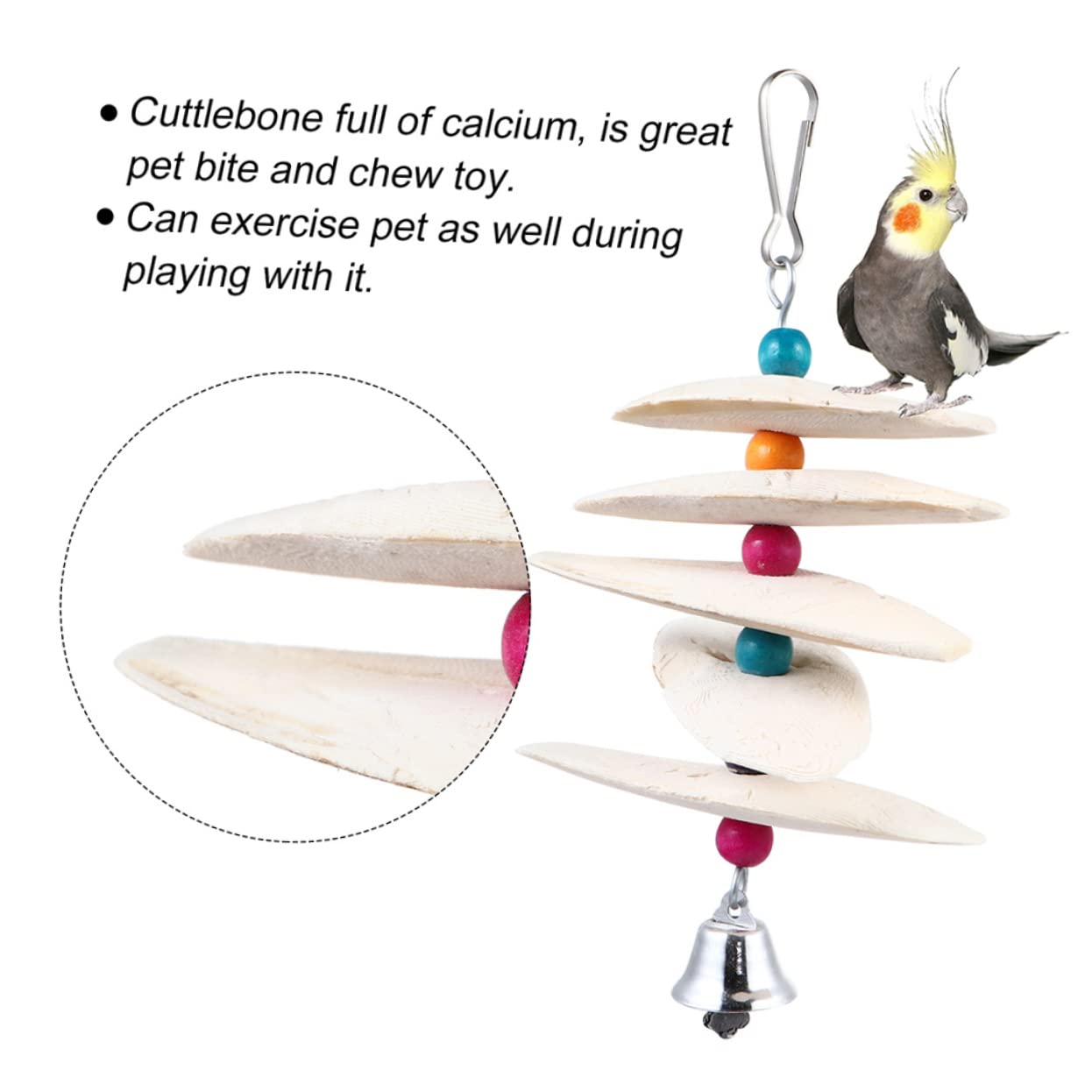POPETPOP 6pièces Jouets à Mordre De Seiche pour Oiseaux Accessoires De Formation Molarité pour Perruches Et Petits Animaux Couleur Aléatoire