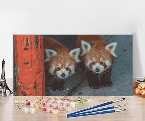 yCgoCio[ bT[p_ io[yCg  lp SҌ h hG Paint By Numbers nhChNtgA[g DIY G Zbg ܂ CeA AN ʊG̋ Ƃ̕ǂ̑ ւ̑蕨 