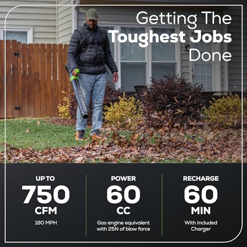 Image of Greenworks 80V Backpack Leaf Blower, 750 CFM, 4.0 Ah Battery and Charger
