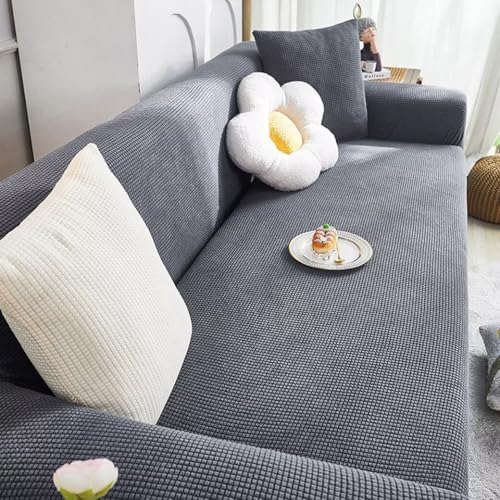 Eamochi \t@[Jo[ NbVJo[t tBbg^Cv It n ce e یJo[ LkfސLїǂ ~ Xgb` _炩 ʋC ֗ 1l| 2l| 3l| 4l| 5l|  L  h~ O