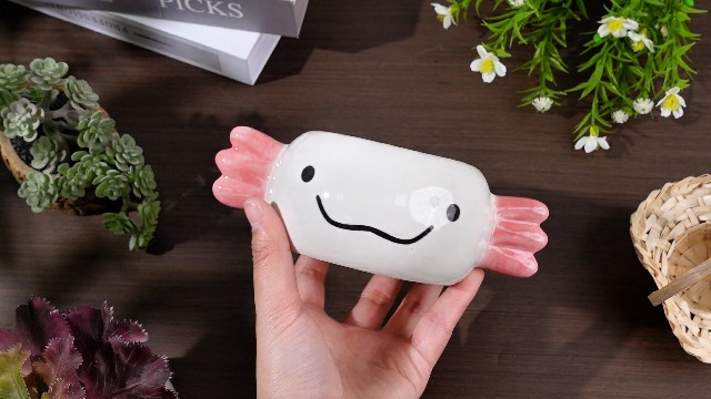 Amazon.com: RimCereal Axolotl Planter Axolotl Gifts for Men Women