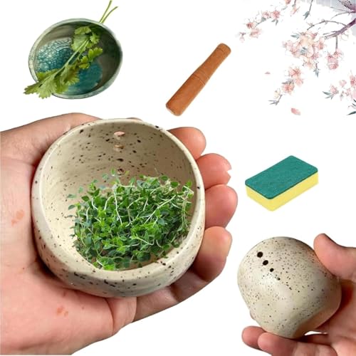 QLZLPSRC Cuenco de cerámica para hierbas – Cuenco de vidrio 3 en 1 de hojas nuevas, procesador verde de cerámica hecho a mano con paño de limpieza, herramientas de cocina ecológicas