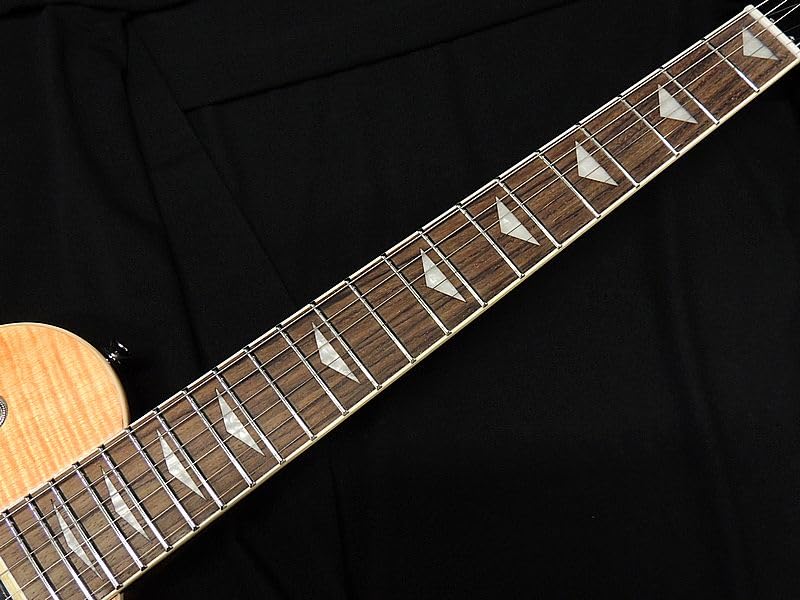 Amazon | AriaProII PE-JAIL 2025 BDSB Bloody Sunburst フレイム