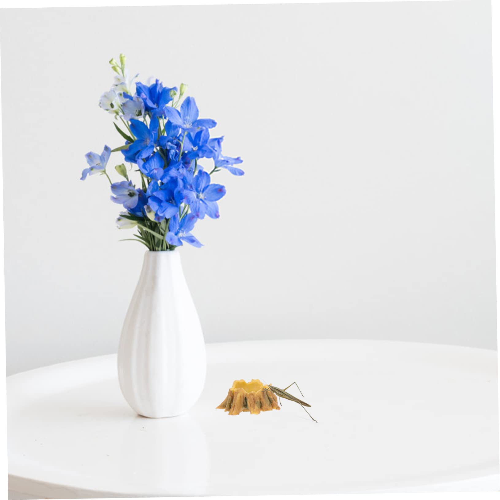 Miska na wodę dla gadów Miska do karmienia gadów, 4 szt. Kąpiel dla ptaków, skaczący pająk, miska na jedzenie dla gadów, miska na wodę dla gadów, miska do terrarium dla gadów, brodaty smok, miska do k