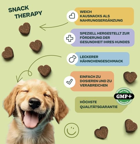 Gooddy – Probiotische & Präbiotische Snacks für Hunde, 85 Stück (300 g) – Mit Vitamin B12 & B9, Glutamin & Zink – Unterstützt Verdauung, Darmflora, Darmschleimhaut & Immunsystem – Gegen Durchfall