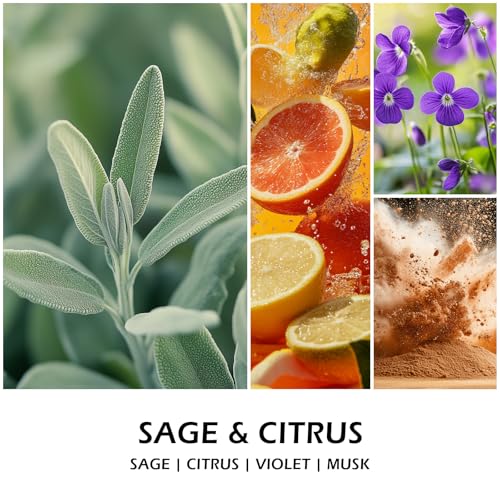 Sage &Citrus Scented Candles, Aromatherapy Jar Candle, 7 oz 50 Hour Long Lasting Candles, Soy Wax Candle Gift for Women - Image 3