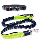 👍MULTIFUNCIONAL. Diseñado con 3 costuras reflectantes luminosas para mantenerlo a usted y a su perro visible y seguro durante la tarde o la mañana, trotar o caminar, adecuado para cruzar una carretera, conocer a otros perros en el parque para perros y caminar a través de áreas concurridas.