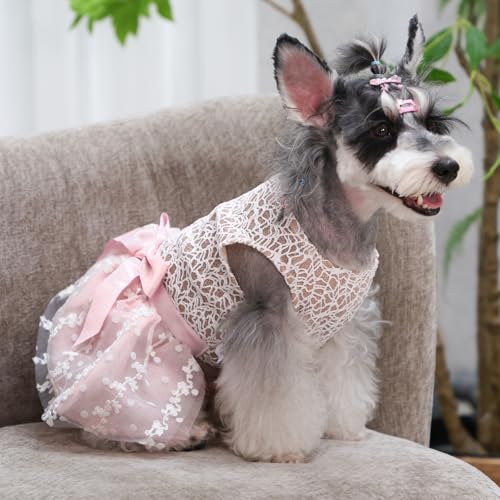 Image of CuteBone Dog Birthday Dress Girl Puppy Skirt Tutu Cat Wedding Outfit Pet Party Clothes for Small Dogs Costume DD23L