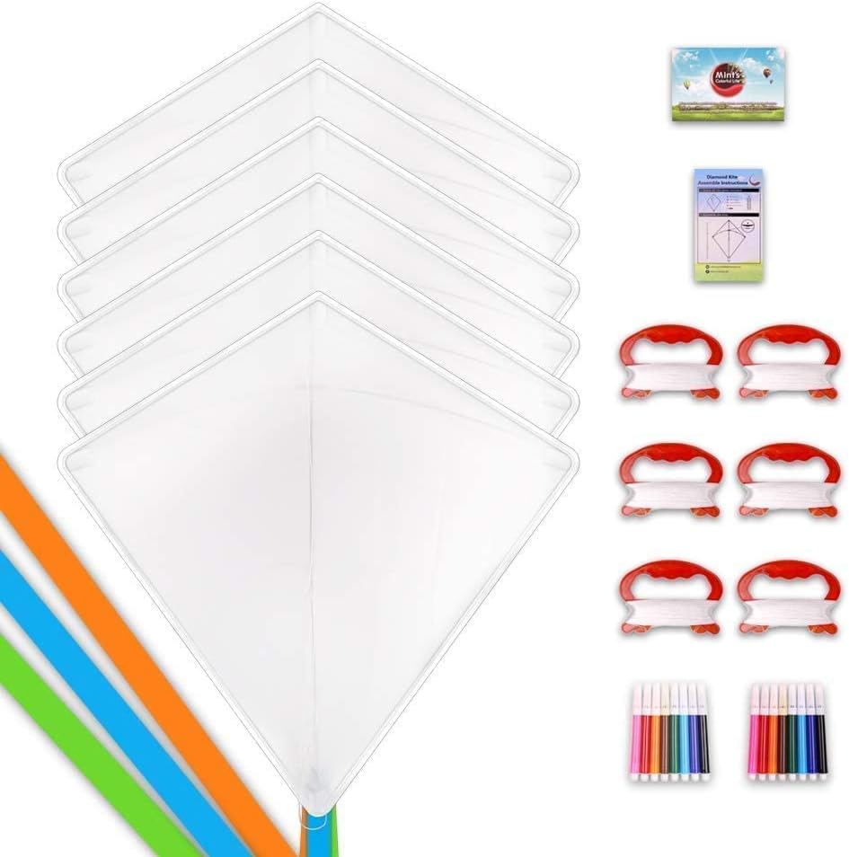 Mint's Colorful Life DIY Kites and Delta Kite for Kids & Adults
