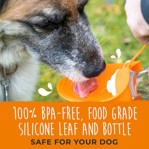 Mighty Paw Travel Dog Water Bottle | Portable Dog Water Bottle Dispenser, Pet Water Bottle For Dogs, Dog Travel Water… - Image 3