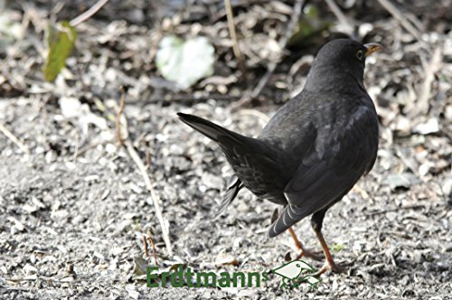 ERDTMANNS - hochwertiges Fettfutter für Wildvögel 5kg - Afbeelding 4