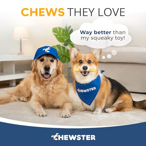 CHEWSTER Käsestangen für Hunde - Kaukäse Hundeknochen - Langer Kauspaß aus natürlicher Milch - Käse-Kauknochen (136 g, S, 4er Pack)