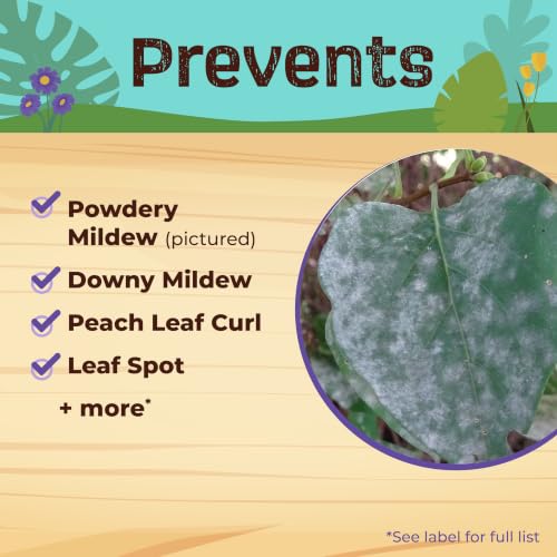 Bonide Captain Jack's Copper Fungicide, 16 oz Ready-to-Spray - image 3