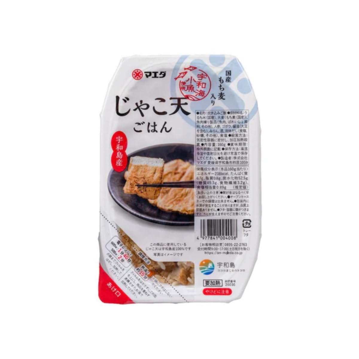マエダ 宇和島 じゃこ天ごはん