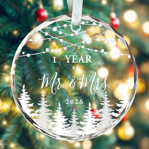 1st Anniversary Ornament Gifts for Couple,First Anniversary Ornament