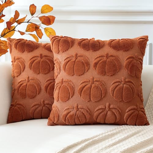 Artscope 2er Set Wolle Kürbis Kissenbezüge Weicher Plüsch Kurzer Wollsamt Dekokissenbezüge Herbst Kissenhülle Sofakissen Herbstdeko für Sofa Schlafzimmer Halloween Karamell Orange, 50x50cm Artscope 2er Set Wolle Kürbis Kissenbezüge Weicher Plüsch Kurzer Wollsamt Dekokissenbezüge Herbst Kissenhülle Sofakissen Herbstdeko für Sofa Schlafzimmer Halloween Karamell Orange, 50x50cm