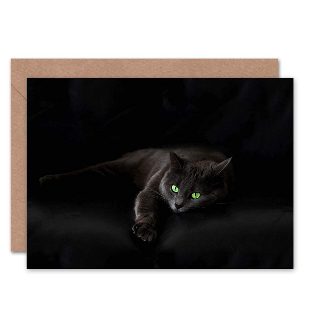 Wee Blue Coo Sleepy Black Cat - Blank Greeting Card CL1028