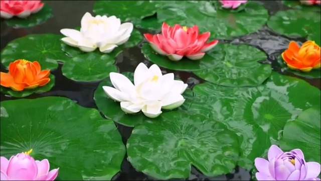 10 PCS Artificial Lotus Foam Flower Floating Lily Pads for Pond Pool Aquarium Decoration - Realistic Water Lilies in 5 Colors