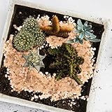 Zoom IMG-1 yardenfun ghiaia decorativa per piante Zoom IMG-1 yardenfun ghiaia decorativa per piante