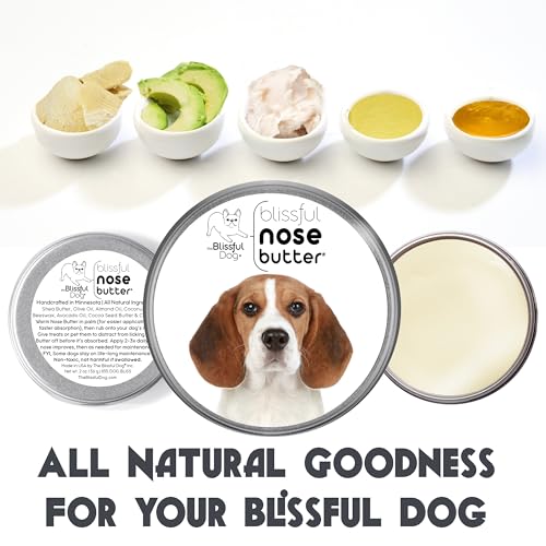 Image of The Blissful Dog Beagle Nose Butter for Dry, Cracked Skin, Lick-Safe Dog Nose Balm with Moisturizing Shea Butter, Almond, Olive, and Essential Oils, Pet Supplies, Uncented, 8 oz.