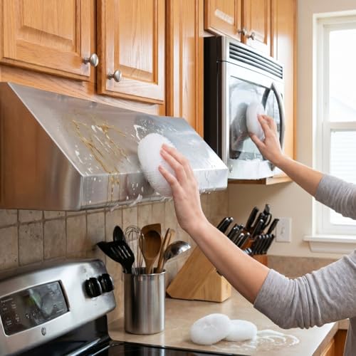 Image of Blulu 15 Pcs Plastic Dish Scrubbers for Dishes Pot Round Nylon Pad, Mesh Scouring Non Scratch Pads (White)