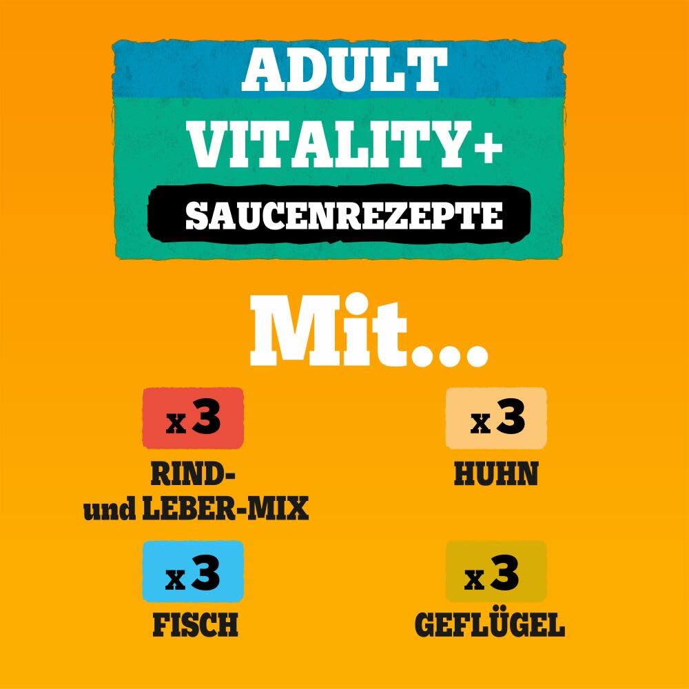 PEDIGREE DOGCARE Hundefutter Portionsbeutel Vitality+ Chunks in Soße Adult 4 x 12 x 85g