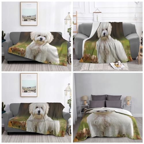 Plaid microfleece chaud et léger pour lit et canapé, couverture douce durable - 6