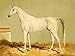 Produktbild A4 Photo Tweedie William 1836 1914 The Arabian Horse 1894 Greyleg Print Poster