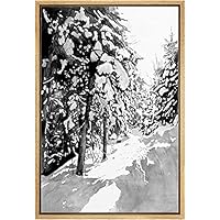 SIGNWIN Framed Canvas Print Wall Art Black Snow Covered Trees in Winter Forest Nature Plants Photography Realism Rustic Scenic Relax/Calm for Living Room, Bedroom, Office - 16