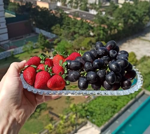Image of Glassbunny Modern Crystal Clear Oval Shape Glass Tray for Dry Fruits, Fruits Dish, Serving Plate Home Decoration, Living Room 9 Inch Platter