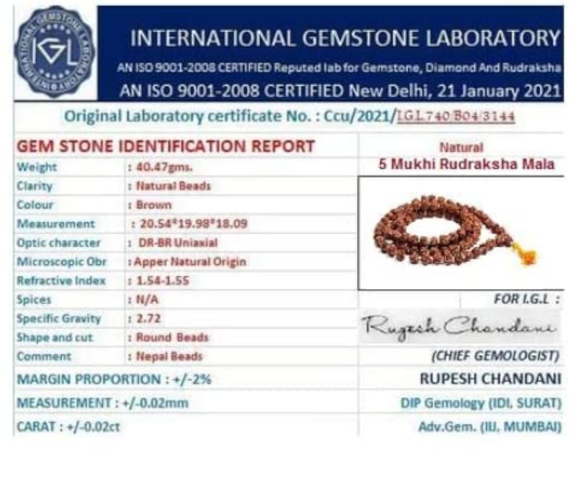 5 Mukhi Rudraksha Mala, Authentic Nepali Beads, Spiritual Gift