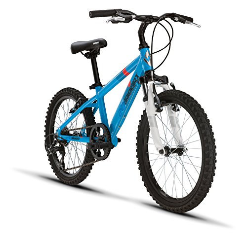 Diamondback Bicycles Octane 20 Youth 20" Wheel Mountain Bike, Blue #TOP2