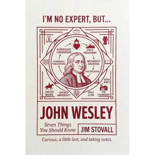 John Wesley Audiobook By JIM STOVALL cover art