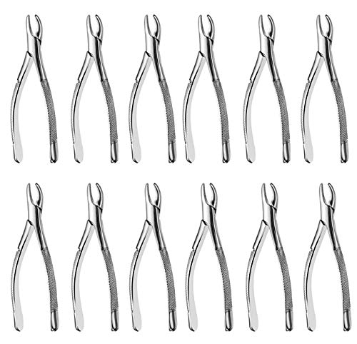 SurgicalOnline 12pcs Dental Extracting Forceps Surgical Instrument Ser50S - Premium Grade Dental Instruments Bulk
