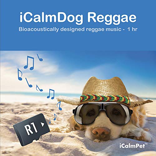 Best Dog Anxiety Solutions: Top Calming Treats and Products for Relief 13 iCalmDog Reggae | by Through a Dog's Ear | Happy Jamaican Rhythms | Micro SD Sound Card | Proven Dog Anxiety Solution